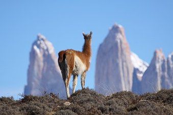 Awasi Patagonia Hotel Tiện nghi bức ảnh